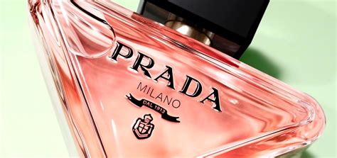 prada negozi dove comprare profumo|paradoxe prada.